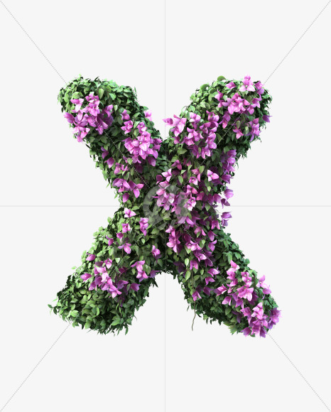 x lowecase from Bougainvillea alphabet on Yellow Images Creative Fonts - S51807