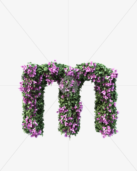 m lowecase from Bougainvillea alphabet on Yellow Images Creative Fonts - S51796