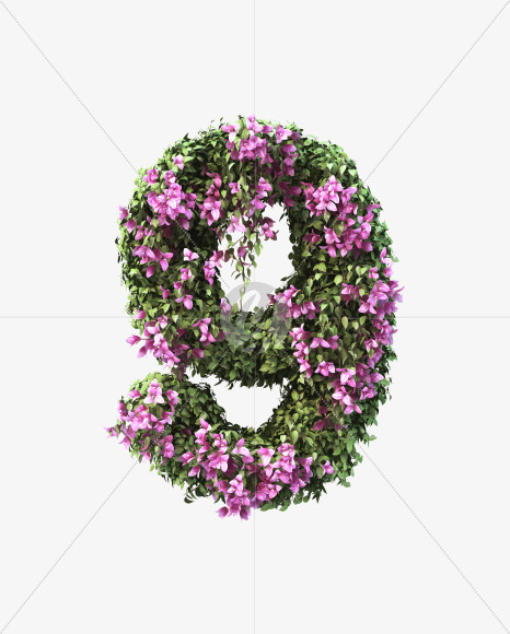 9 from Bougainvillea alphabet on Yellow Images Creative Fonts - S51771