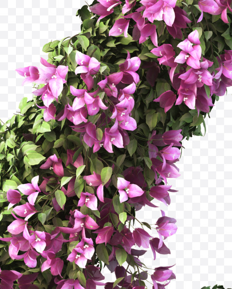 Z uppercase from Bougainvillea alphabet on Yellow Images Creative Fonts - S51823