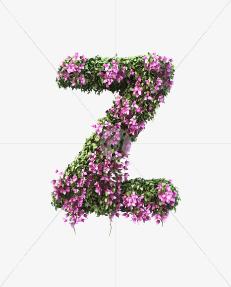 Z uppercase from Bougainvillea alphabet on Yellow Images Creative Fonts - S51823