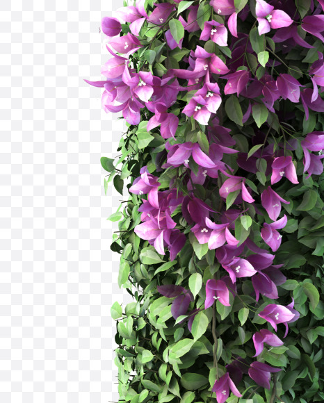 r lowecase from Bougainvillea alphabet on Yellow Images Creative Fonts - S51801