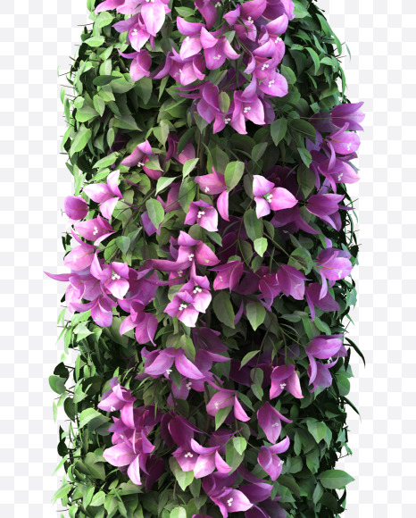 i lowecase from Bougainvillea alphabet on Yellow Images Creative Fonts - S51792