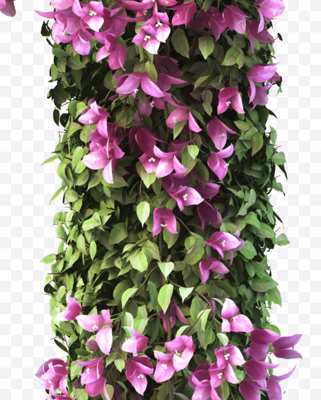T uppercase from Bougainvillea alphabet on Yellow Images Creative Fonts - S51817