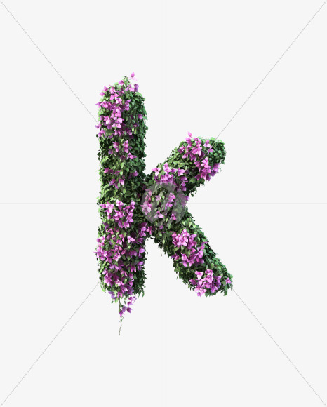 k lowecase from Bougainvillea alphabet on Yellow Images Creative Fonts - S51794