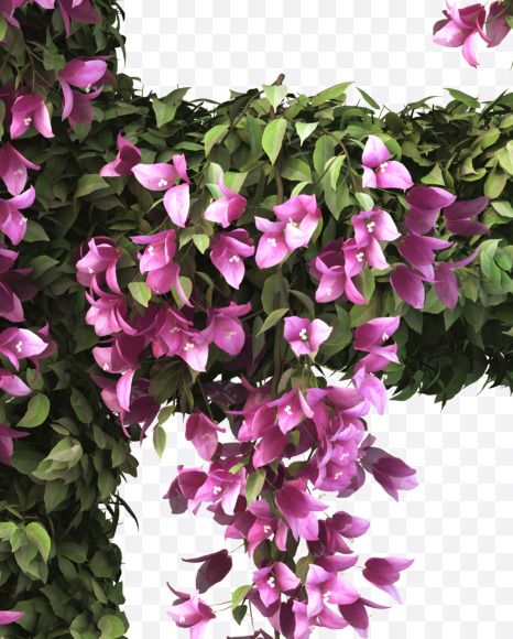 E uppercase from Bougainvillea alphabet on Yellow Images Creative Fonts - S51776
