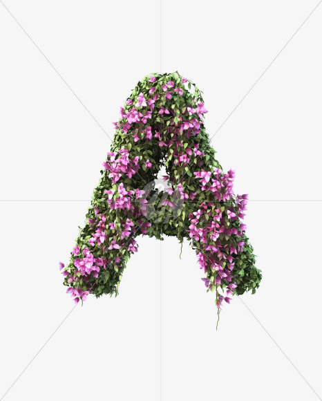 A uppercase from Bougainvillea alphabet on Yellow Images Creative Fonts - S51772