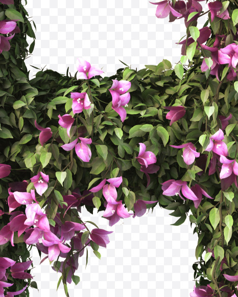 R uppercase from Bougainvillea alphabet on Yellow Images Creative Fonts - S51815