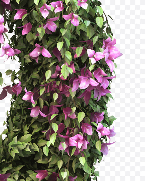 Q uppercase from Bougainvillea alphabet on Yellow Images Creative Fonts - S51814