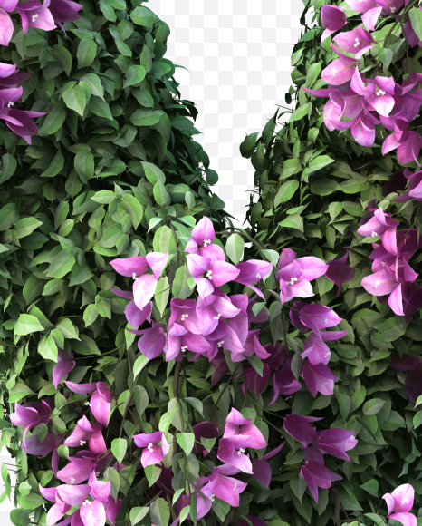 v lowecase from Bougainvillea alphabet on Yellow Images Creative Fonts - S51805