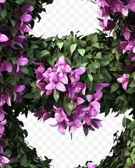 e lowecase from Bougainvillea alphabet on Yellow Images Creative Fonts - S51788