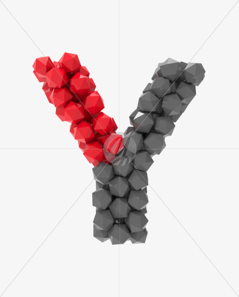 Y