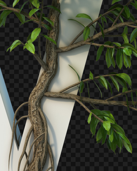 Letter w from Tree growth on alphabet on Yellow Images Creative Fonts - S53441