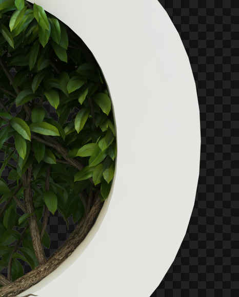 Letter S from Tree growth on alphabet on Yellow Images Creative Fonts - S53432