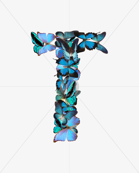 Letter T from Butterfly font on Yellow Images Creative Fonts - S53602