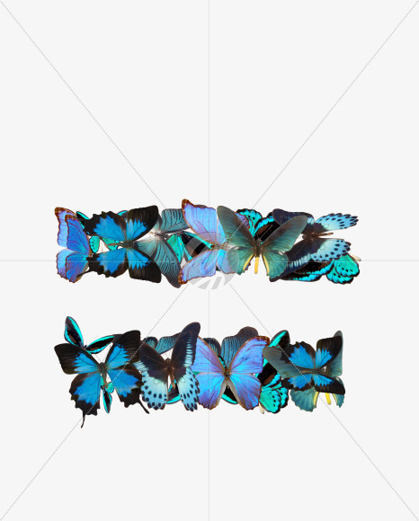 = from Butterfly font on Yellow Images Creative Fonts - S53624