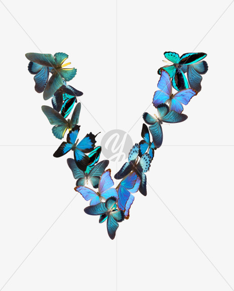 Letter V from Butterfly font on Yellow Images Creative Fonts - S53604