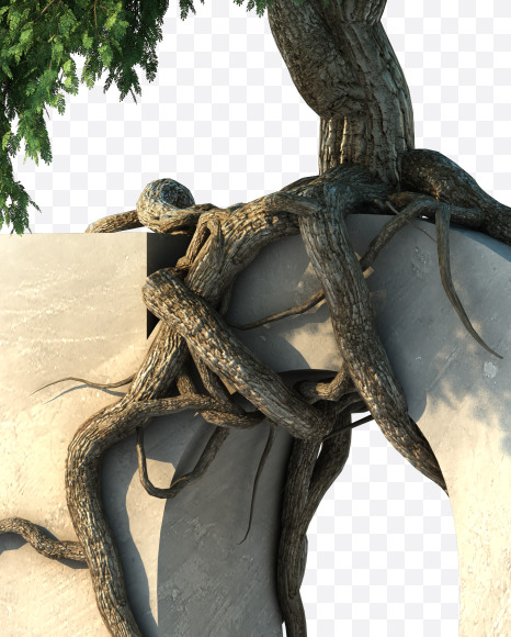 p lowercase from Tree growth on alphabet Set 2 on Yellow Images Creative Fonts - S53762