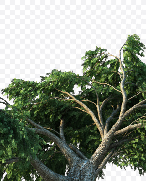 1 from Tree growth on alphabet Set 2 on Yellow Images Creative Fonts - S53726