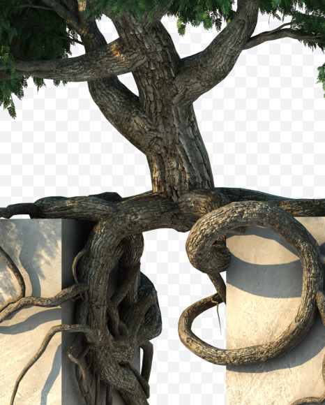 u lowercase from Tree growth on alphabet Set 2 on Yellow Images Creative Fonts - S53767