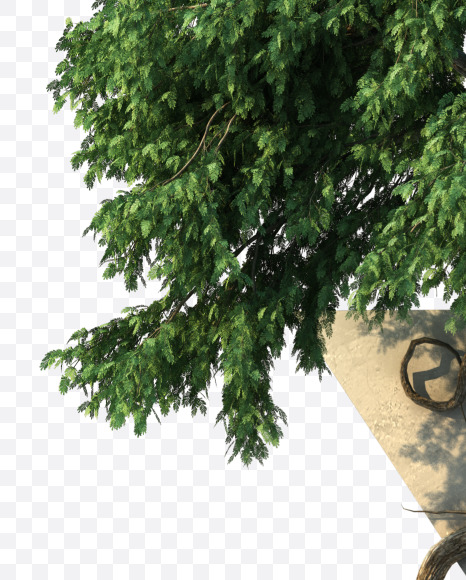 x lowercase from Tree growth on alphabet Set 2 on Yellow Images Creative Fonts - S53770