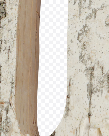 Letter Q from Birch with Moss font on Yellow Images Creative Fonts - S53810