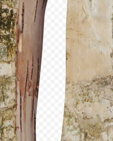 0 from Birch with Moss font on Yellow Images Creative Fonts - S53835