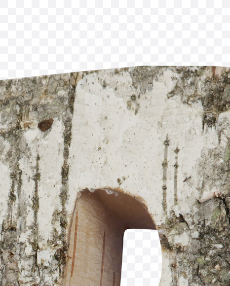 Letter R from Birch with Moss font on Yellow Images Creative Fonts - S53812