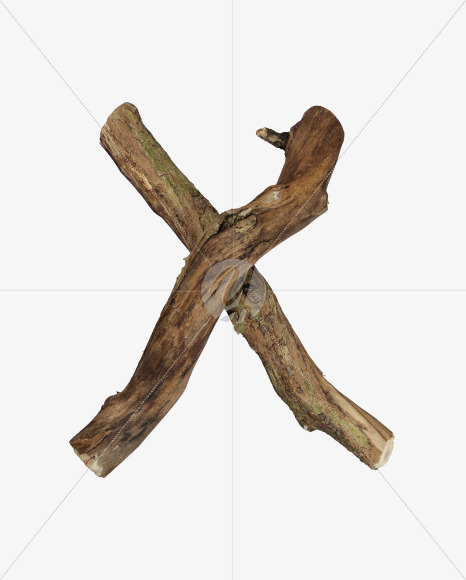 Letter X from Dry Twig font on Yellow Images Creative Fonts - S53935