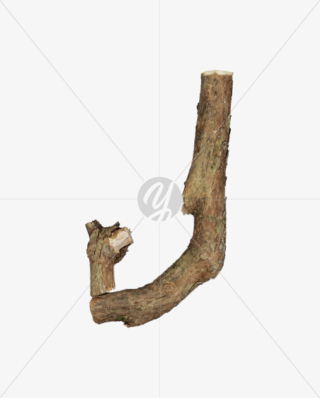 Letter J from Dry Twig font on Yellow Images Creative Fonts - S53921