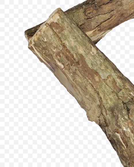 3 from Dry Twig font on Yellow Images Creative Fonts - S53940