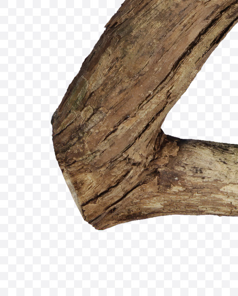 2 from Dry Twig font on Yellow Images Creative Fonts - S53939