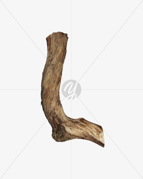 Letter L from Dry Twig font on Yellow Images Creative Fonts - S53923