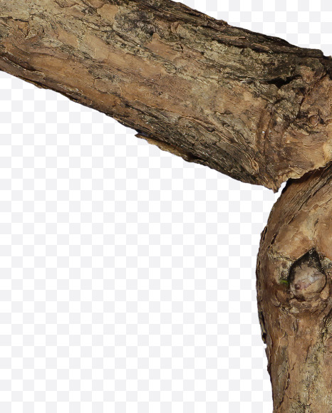 5 from Dry Twig font on Yellow Images Creative Fonts - S53942