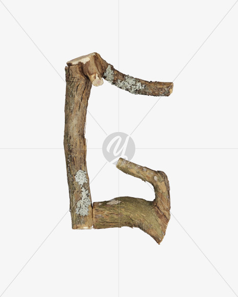 Letter G from Dry Twig font on Yellow Images Creative Fonts - S53918