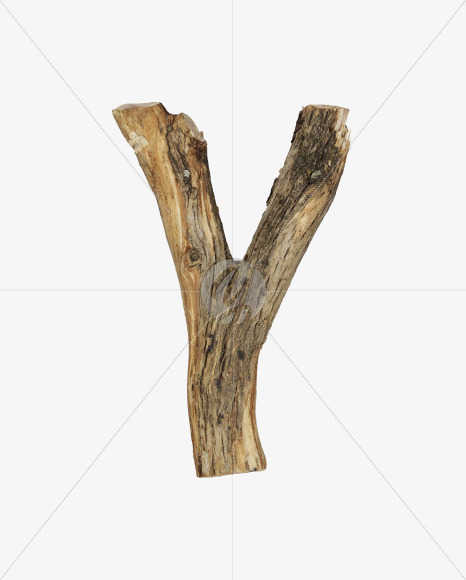 Letter Y from Dry Twig font on Yellow Images Creative Fonts - S53936