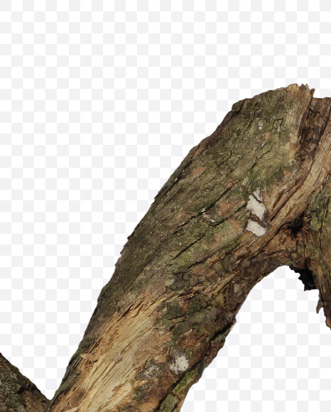 Letter M from Dry Twig font on Yellow Images Creative Fonts - S53924