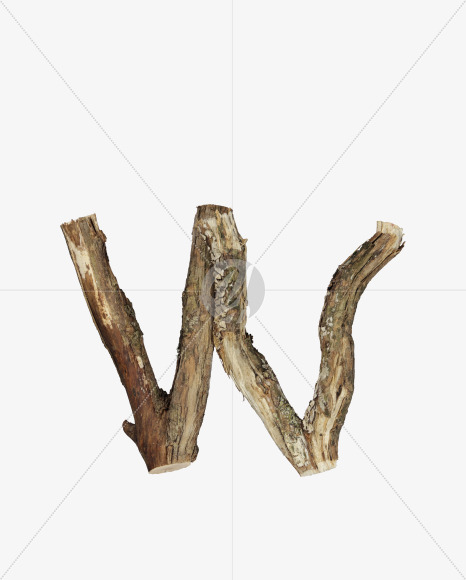 Letter W from Dry Twig font on Yellow Images Creative Fonts - S53934