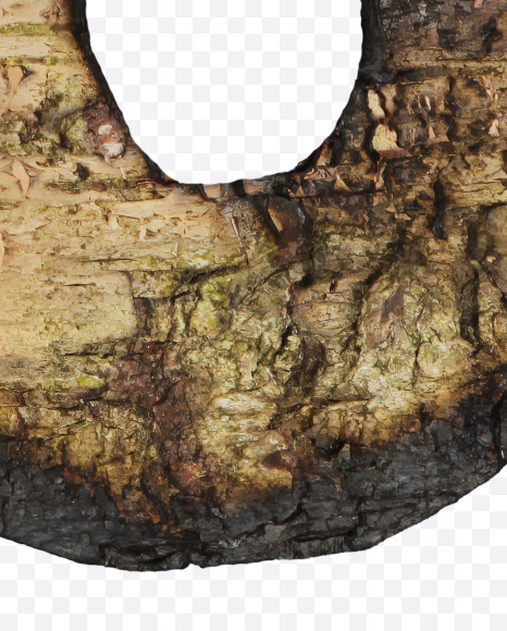 8 from Burned Bark font on Yellow Images Creative Fonts - S53991