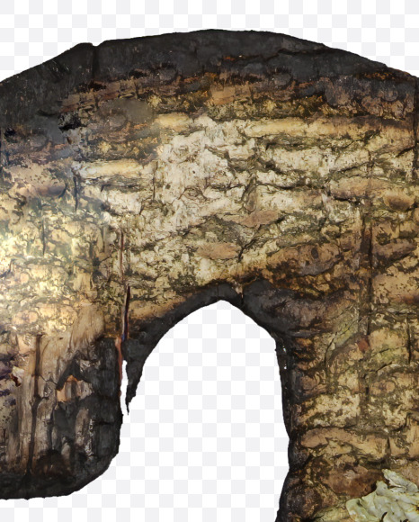 3 from Burned Bark font on Yellow Images Creative Fonts - S53986