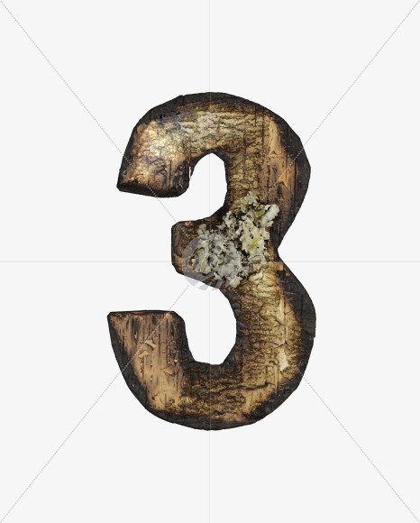 3 from Burned Bark font on Yellow Images Creative Fonts - S53986