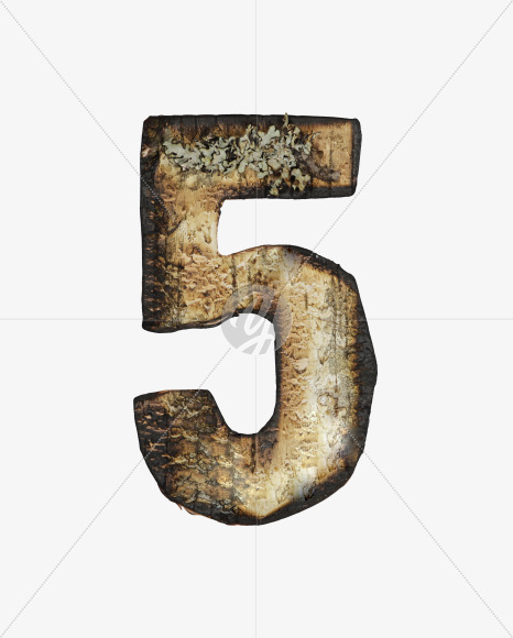 5 from Burned Bark font on Yellow Images Creative Fonts - S53988