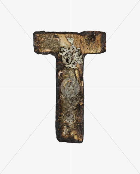 Letter T from Burned Bark font on Yellow Images Creative Fonts - S53977