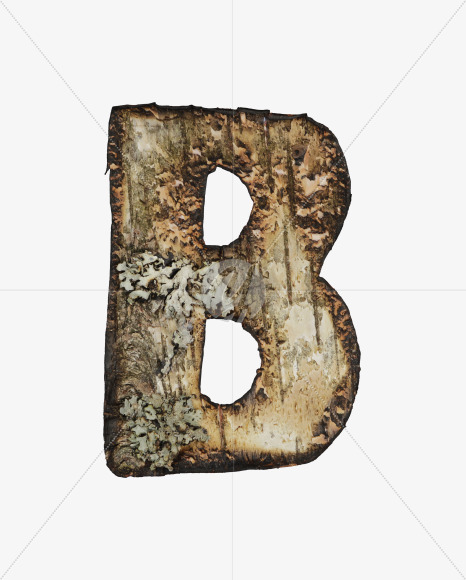 Letter B from Burned Bark font on Yellow Images Creative Fonts - S53959