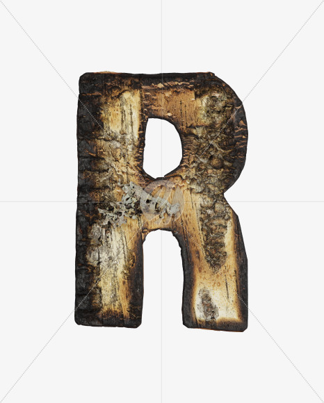 Letter R from Burned Bark font on Yellow Images Creative Fonts - S53975