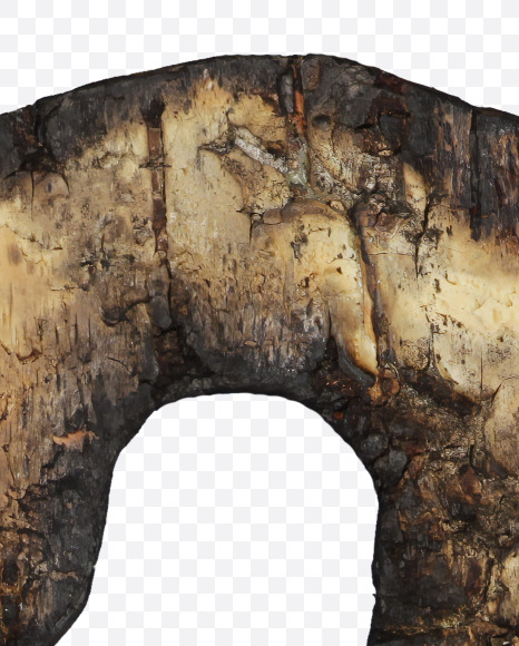 ? from Burned Bark font on Yellow Images Creative Fonts - S53995