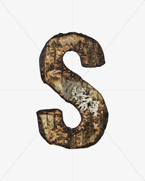 Letter S from Burned Bark font on Yellow Images Creative Fonts - S53976