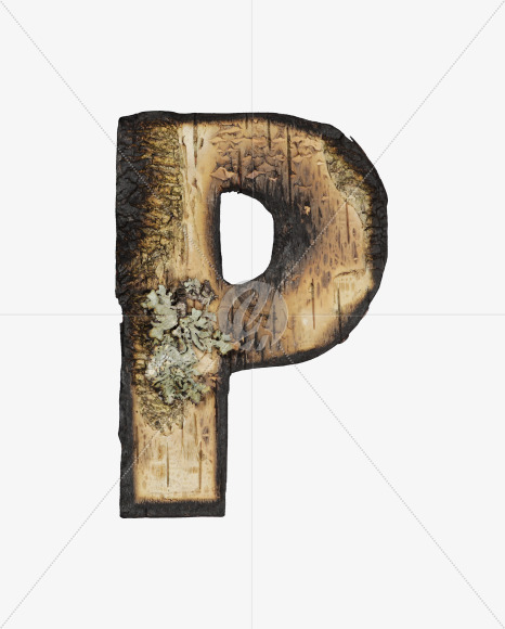 Letter P from Burned Bark font on Yellow Images Creative Fonts - S53973