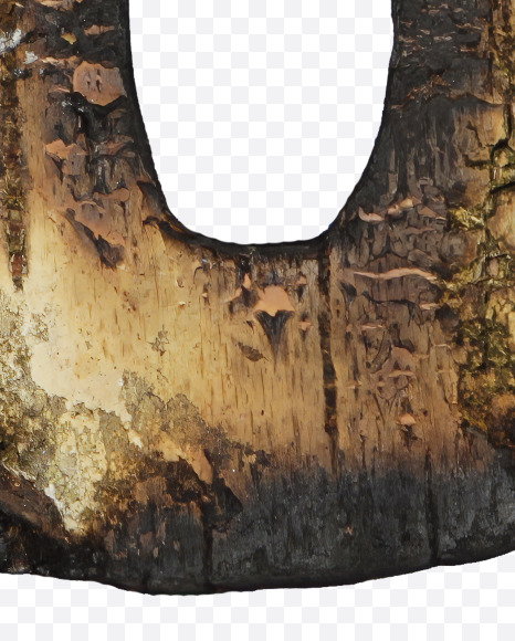 0 from Burned Bark font on Yellow Images Creative Fonts - S53993