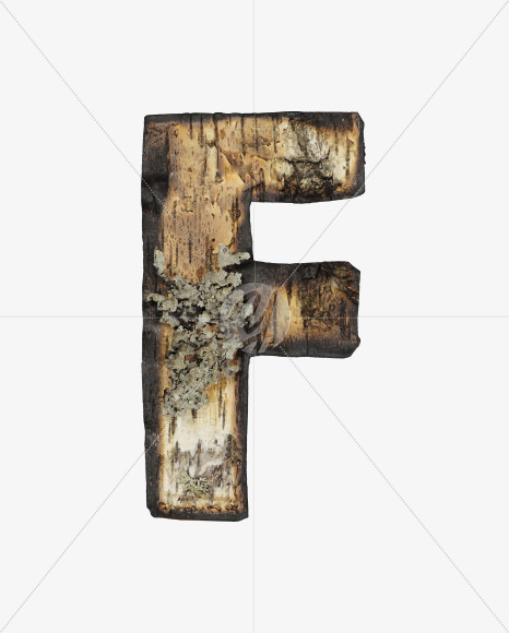 Letter F from Burned Bark font on Yellow Images Creative Fonts - S53963